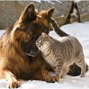 ���� ��������, ������, 54 ���� - ��������� 2 �������� 2012 � ������ �������