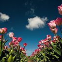 ���� ����� - ���������� ��������!!!, �����������, 56 ��� - ��������� 21 ������ 2010 � ������ ��������ۻ