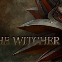  , , 33  -  21  2010    : THE WiTCHER