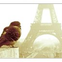  , , 38  -  11  2011   Paris. Mon amour.