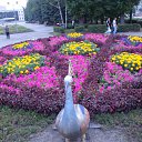 ���� Oldman, ������������ - ��������� 26 ���� 2009 � ������ ���� �����