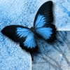 ���� �����, �������, 44 ���� - ��������� 27 ������ 2010 � ������ ��������)�