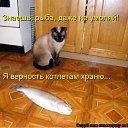 ���� �����, �����-���������, 26 ��� - ��������� 2 ������� 2011 � ������ ������