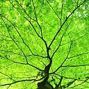  Back To Real Life, , 57  -  6  2012    