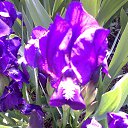 ���� Natali, ������, 67 ��� - ��������� 23 ������� 2012 � ������ �������