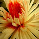 ���� ����� - ���������� ��������!!!, �����������, 56 ��� - ��������� 11 ������ 2010 � ������ ����������