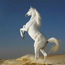 ���� - Dashenka, ��������, 27 ��� - ��������� 11 ����� 2012 � ������ ���� ����������