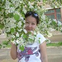 ���� �����, ��������, 43 ���� - ��������� 11 ���� 2013 � ������ ���� ����������