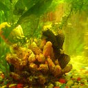  (  ),  , 54  -  26  2010   