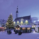 ���� Elvira, �����, 59 ��� - ��������� 2 ������ 2013 � ������ ���� ����������