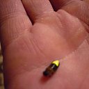 ��������� �� ������� ������. �������.�