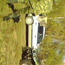  , , 54  -  2  2012    Ż