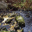 ���� ������, �����-���������, 55 ��� - ��������� 31 ������� 2012 � ������ ���� ����������