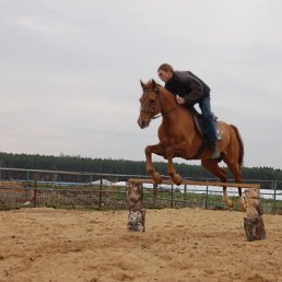 ���� ������, ������, 44 ���� - ��������� 9 ���� 2013