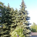 ���� �����, �����������, 57 ��� - ��������� 20 ���� 2012 � ������ ���� ����������