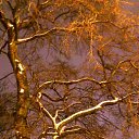  , , 50  -  12  2012    - 