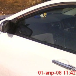 ����, �������, 53 ����