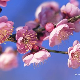 ���� �����, ������-��-����, 66 ��� - ��������� 17 �������� 2011