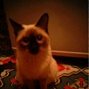 ���� Ferro, ��� - ��������� 15 ����� 2011 � ������ �������