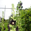 ���� ����, �������� ������ - ��������� 8 �������� 2010 � ������ ������� ��������....�