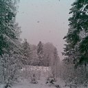 ���� �����, ������, 33 ���� - ��������� 24 ��� 2010 � ������ �����������