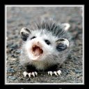 ���� Limon, ���������, 39 ��� - ��������� 10 ���� 2009 � ������ ���� �������� ��������...�