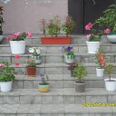 ���� ��������, �����, 69 ��� - ��������� 19 ���� 2012 � ������ �������