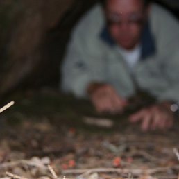 �����, ����������, 55 ���