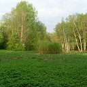 ���� �������, �����-���������, 45 ��� - ��������� 15 �������� 2011 � ������ ��������