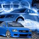 ���� ����, ������, 43 ���� - ��������� 14 ������� 2011