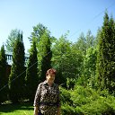  ,  -  3  2013          .
