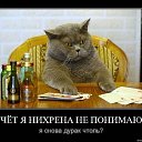 ���� ���������, �������������, 64 ���� - ��������� 23 ����� 2012 � ������ ���� ����������