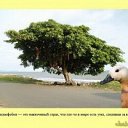 ���� ������, ������, 35 ��� - ��������� 13 ������ 2012 � ������ ���� ����������