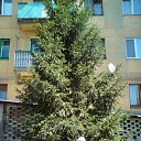 ���� � ���� �� ������� ���� ����������