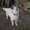 ���� ������, ��������, 33 ���� - ��������� 12 ������ 2011 � ������ �������