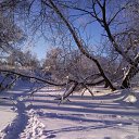 ���� Michael, ������, 57 ��� - ��������� 12 ���� 2010 � ������ ����� � �����������