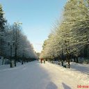 ���� Shpana69, ���� - ��������� 7 ��� 2012 � ������ �������