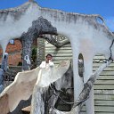 ���� �����, ������� ��������, 53 ���� - ��������� 23 ������� 2012 � ������ ���� ����������