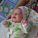  , , 70  -  6  2013   .  2912