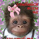 ���� ���������, �����������, 43 ���� - ��������� 17 ������� 2012 � ������ ������ ��������