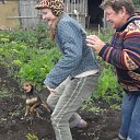  -, , 64  -  26  2012    