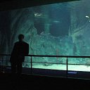 ���� ������, ������������, 46 ��� - ��������� 28 ������ 2011 � ������ �߻