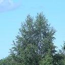 ���� ������, �����-���������, 70 ��� - ��������� 31 ������� 2012 � ������ �������� ���� ����