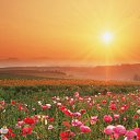 ���� �������, ������, 50 ��� - ��������� 13 ����� 2012 � ������ ���������