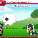  , , 53  -  12  2010   PetLove