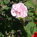 ���� ���������, ������ - ��������� 31 ��� 2011 � ������ �����