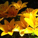 ���� ������, ������, 63 ���� - ��������� 5 ������� 2011 � ������ ������-���� �����-2�