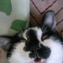   ,  -  26  2013        =)