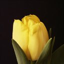���� ����, �������� - ��������� 19 ������ 2012 � ������ �����������