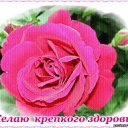 ���� ����, �������, 67 ��� - ��������� 19 ���� 2012